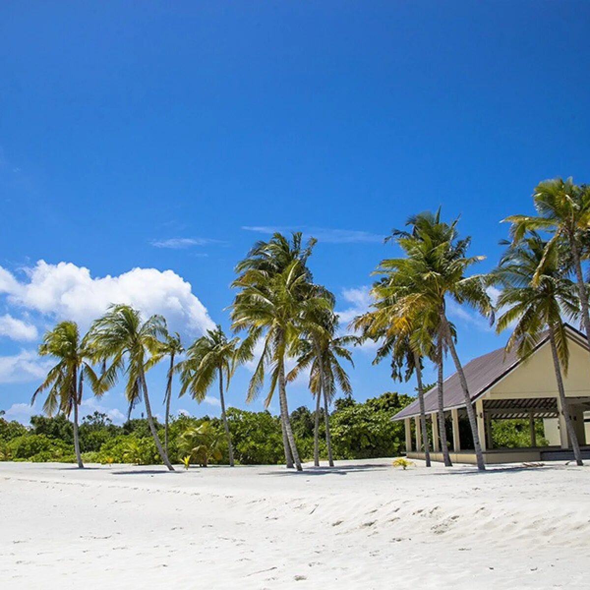 Hondaafushi island 4. Остров Хондаафуши Мальдивы. Хондафуши Айленд Резорт. Хондаафуши Исланд Резорт Мальдивы. Hondaafushi Island Resort 4* (Хаа-Дхаалу Атолл).