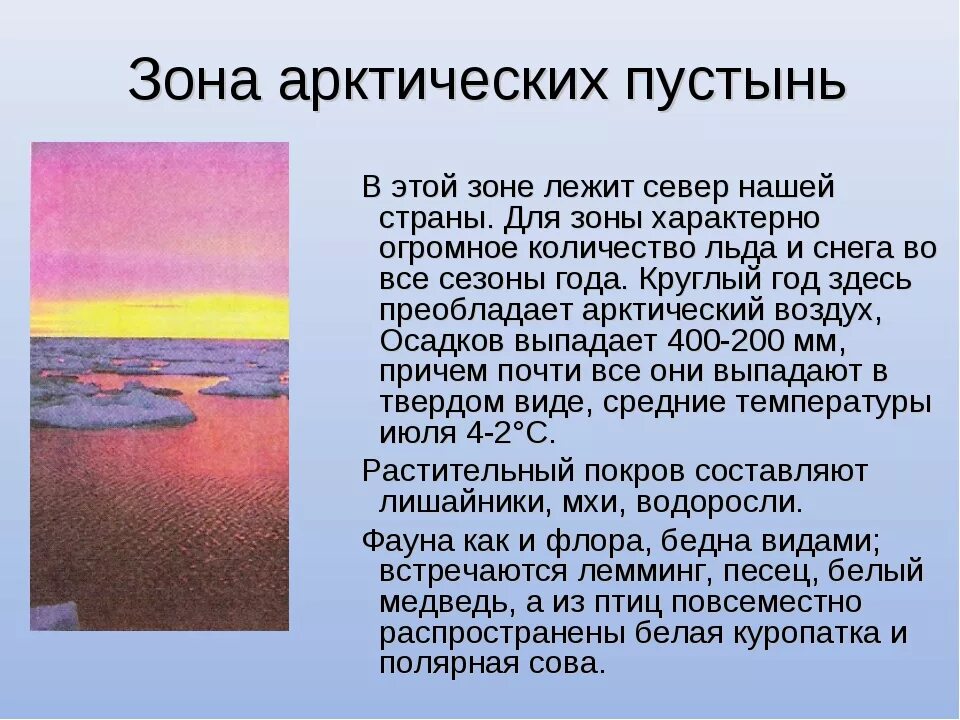 Арктическая зона описание природной зоны