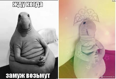 Ждем хороших новостей