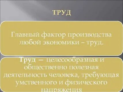 Целесообразный труд