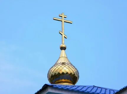 Кромские быки курская
