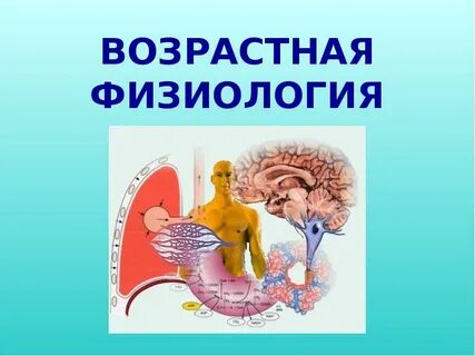 Возрастная физиология изучает