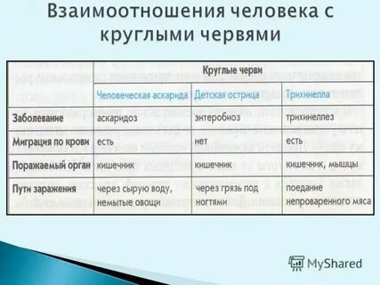 Таблица круглые черви 8 класс биология