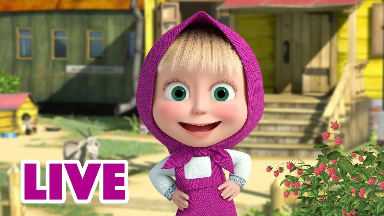 Маша и медведь фото маши live