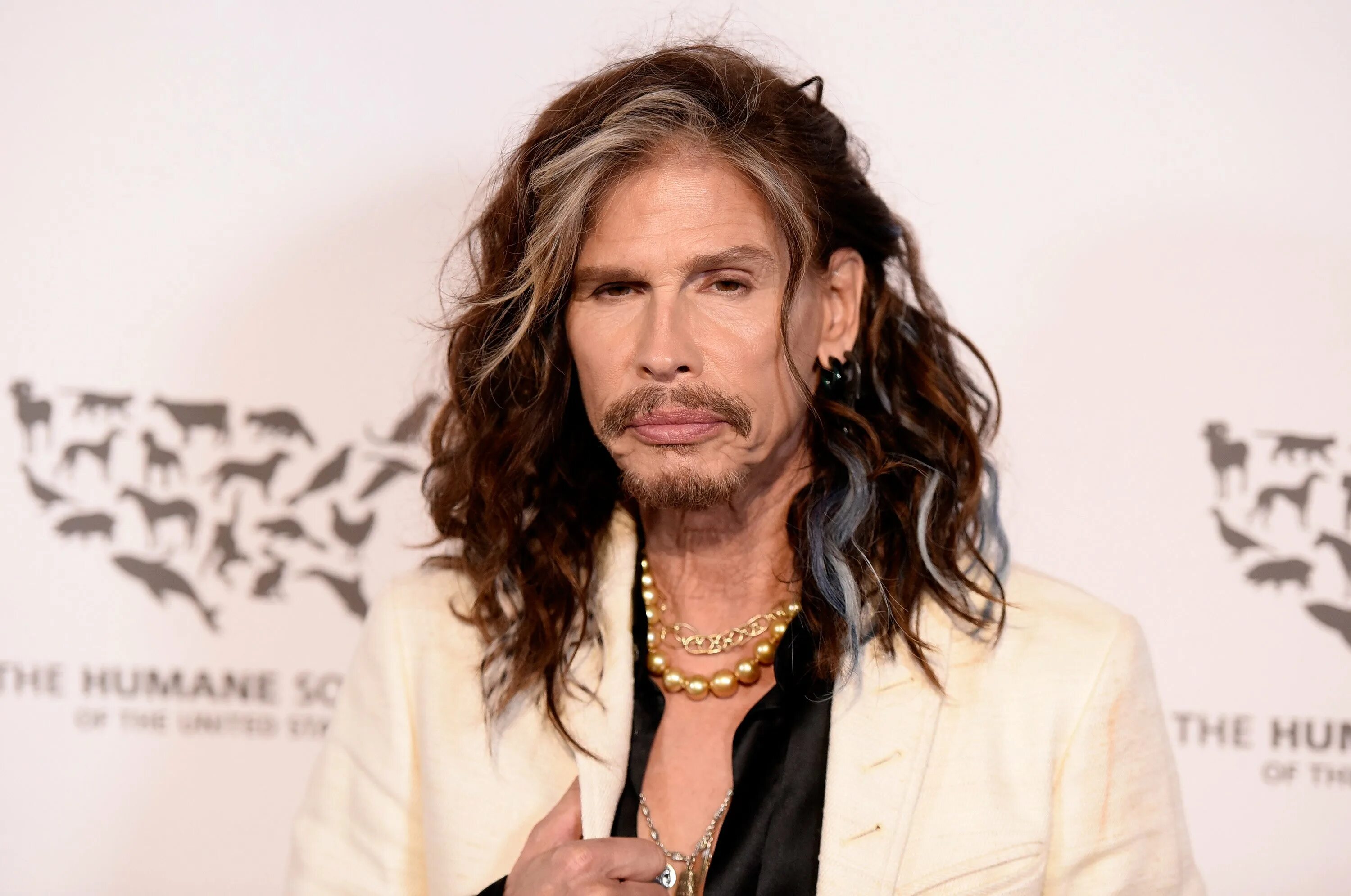 Steven tyler neverlove. Steven tyler neverlove