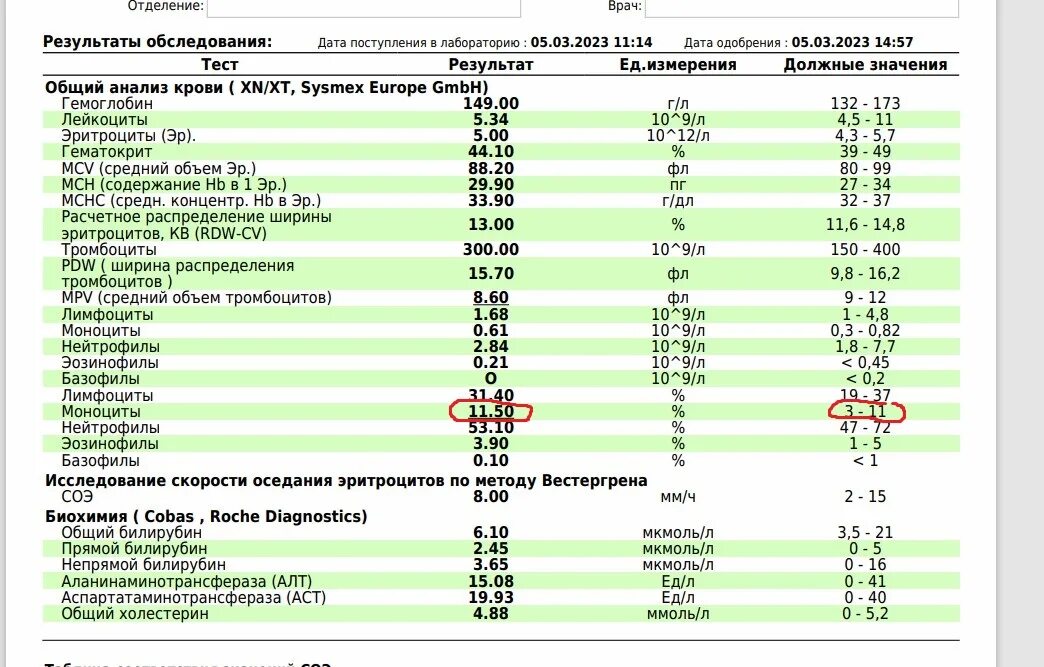 Моноциты в общем анализе крови. Относительное количество моноцитов норма. Моноциты в анализе крови повышены у женщин