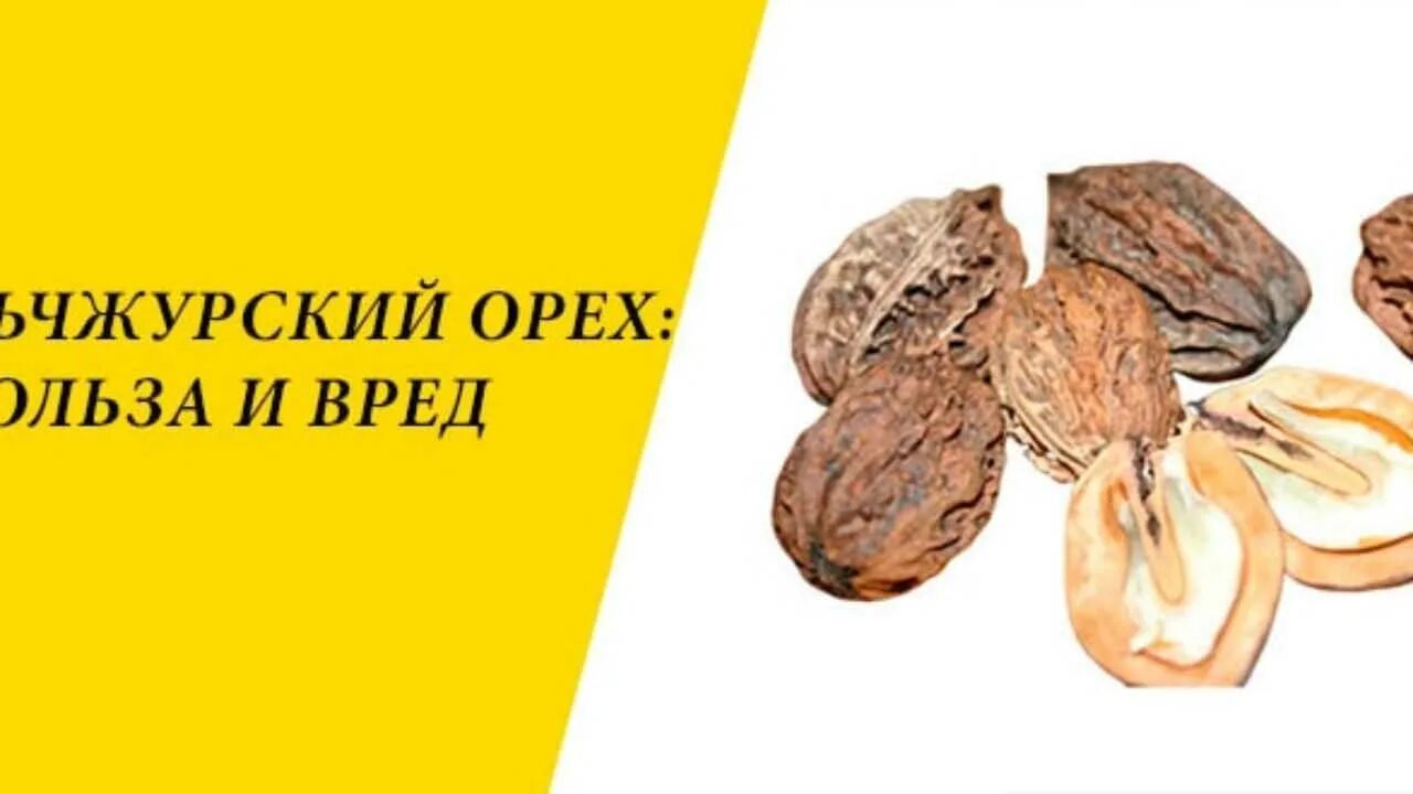Дальний восток маньчжурский орех. Маньчжурский орех плоды. Маньчжурский орех польза и вред для организма. Дальний восток маньчжурский орех. Маньчжурский (думбейский) орех.
