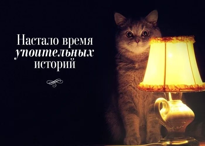 Настало время ох ительных. Настало время историй. Настало время историй кот. Время историй кот. Кот с лампой настало время.
