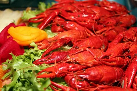 Crayfish furniture