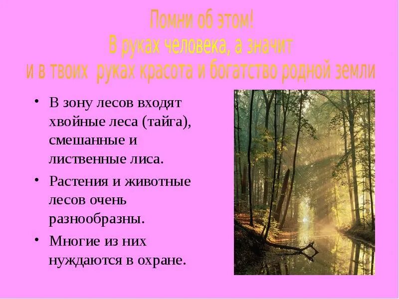 Зона смешанных лесов. В зону лесов входят. Самую большую территорию занимают какие леса. В зону лесов входят. Зона лесов.
