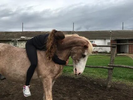 Лошадь почуяла опасность
