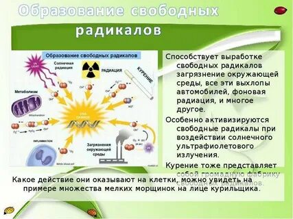 Биологические радикалы