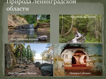 Природные богатства петербурга