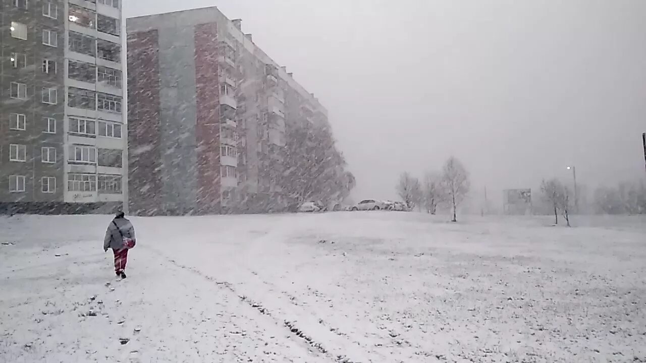 Погода заринск на 10 дней точный прогноз. Заринск Алтайский край. Погода в Заринске. Заринск зима. Рп5 Заринск.