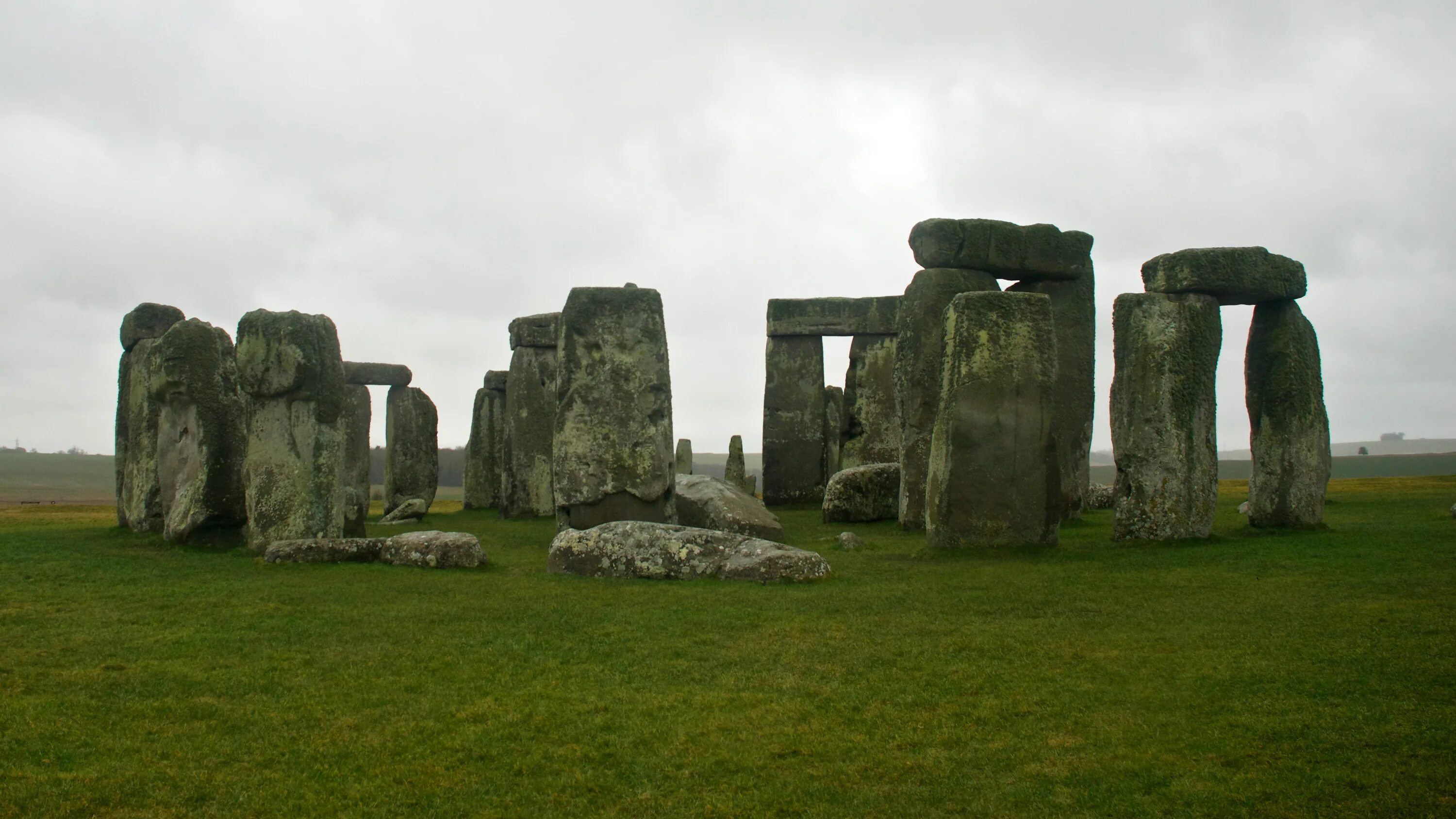Первобытность фон. Обои рабочего стола рисунки первобытных людей. Why did a prehistoric. Why did a prehistoric. Why did a prehistoric.
