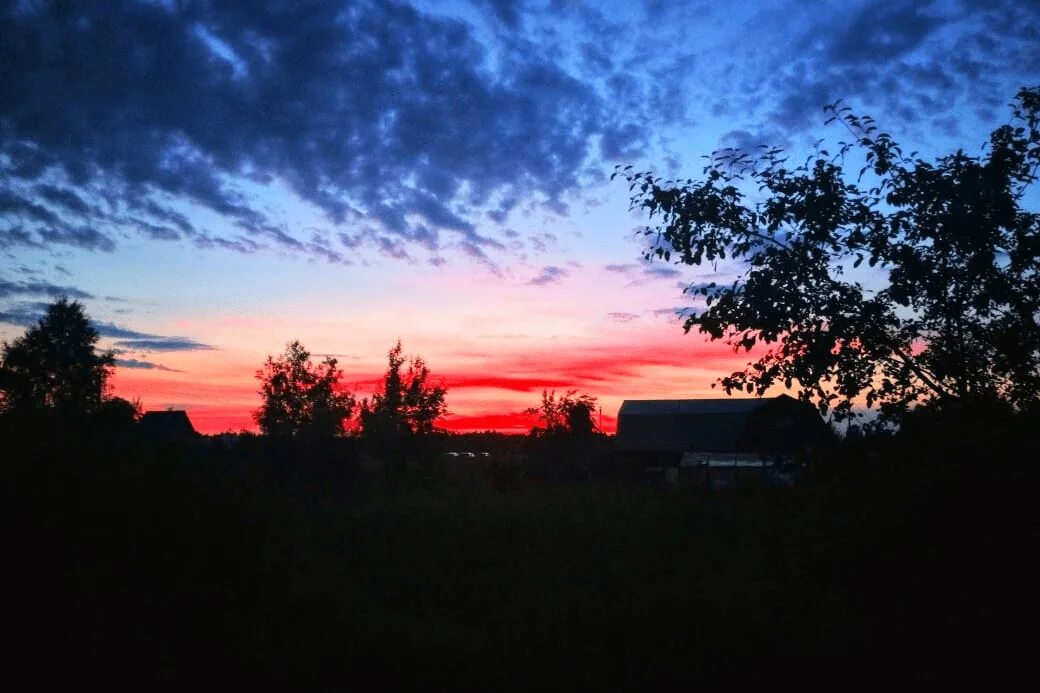 малиновый закат lvnx.