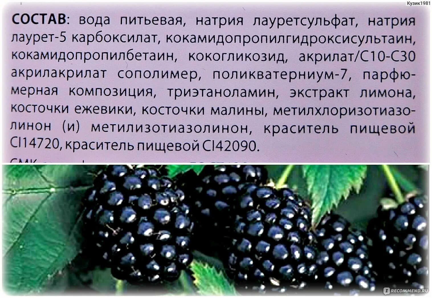 Ежевика полезные вещества. Витамины в ежевике. Ежевика аптека. Состав ежевика. Ежевика купить в аптеке