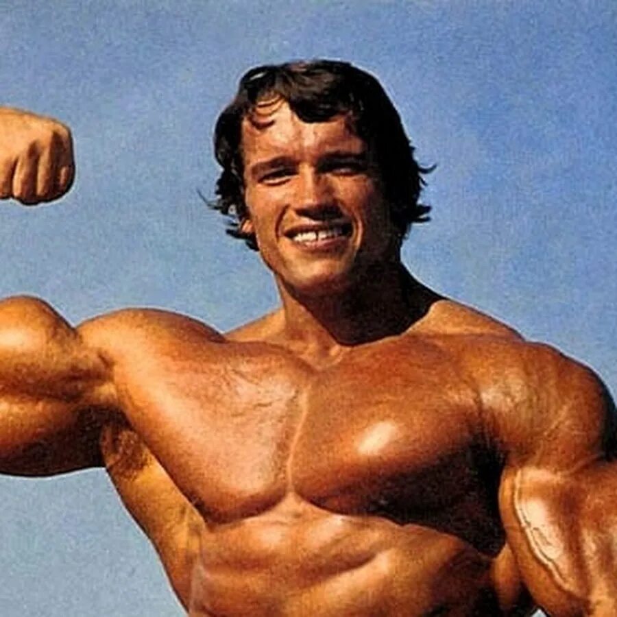 Arnold Schwarzenegger 1989. Шварценегер в молодости. Шварценегер 32. Шварц негр