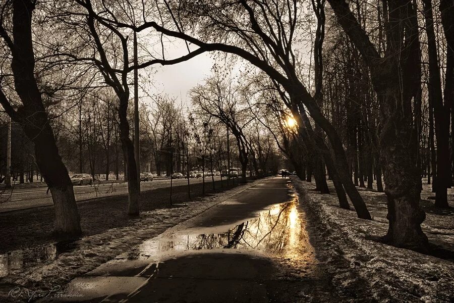 Аллея с цветущими деревьями. Весенние улицы россии тенистые. Весенняя дом 27. Улица вешняя. Курган улица весенняя.