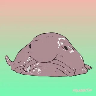 Жидкое животное