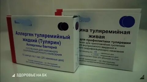 Туляремия какая прививка