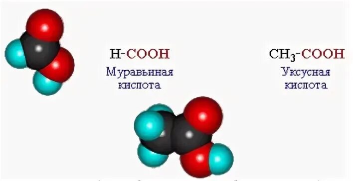 Гидроксипропен-1,2,3-трикарбоновая.
