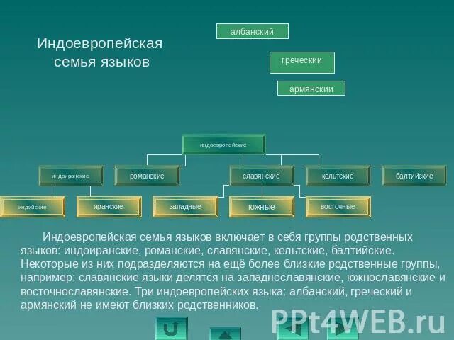 Индоиранская группа языков. Индоевропейская семья языков. Кельтская группа индоевропейской семьи. Романская языковая семья. Языки входящие в группу индоевропейских