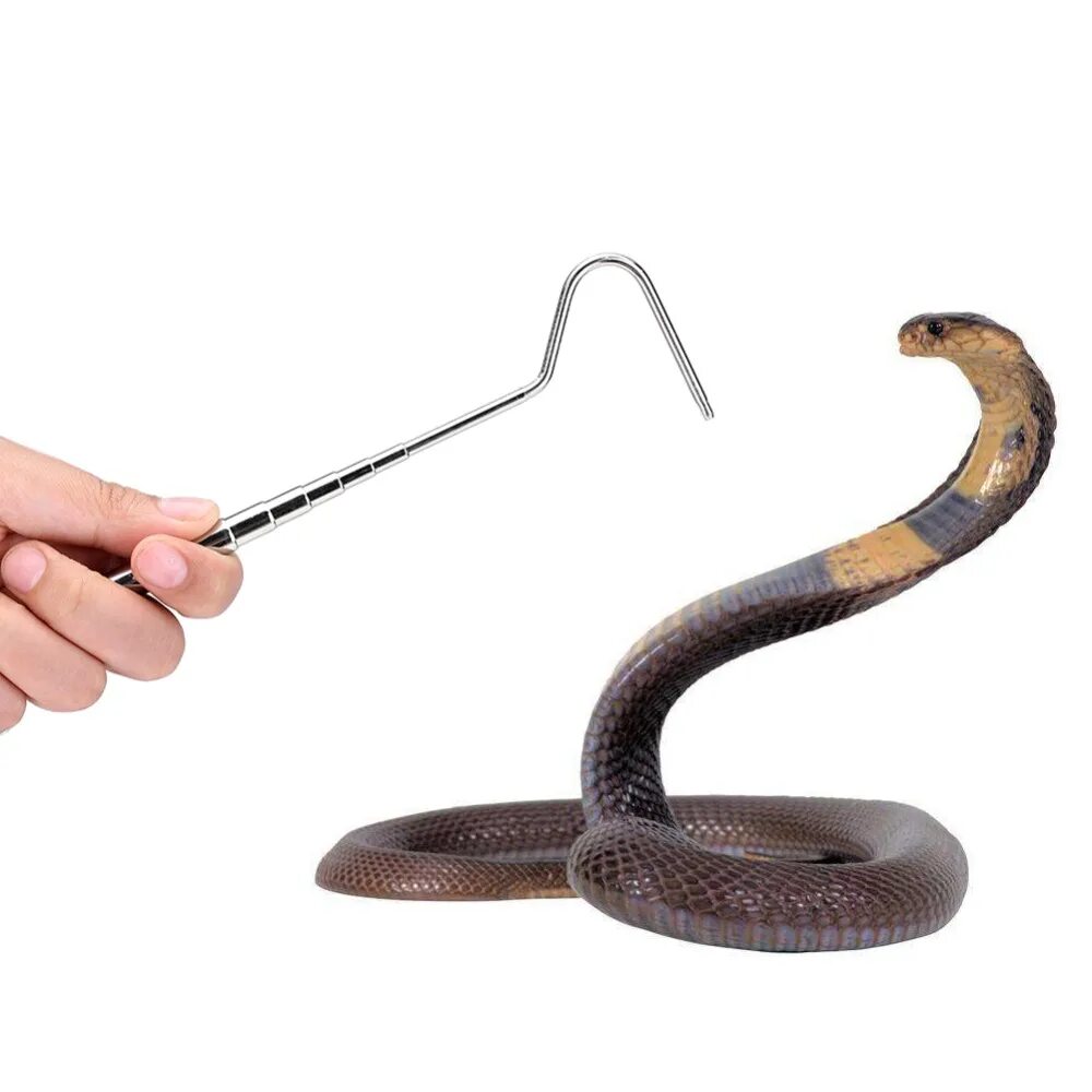 Ловля змей. Крюк телескопический для ловли змей. Крюк для змеи. Захват для змей. Палка для змеи.