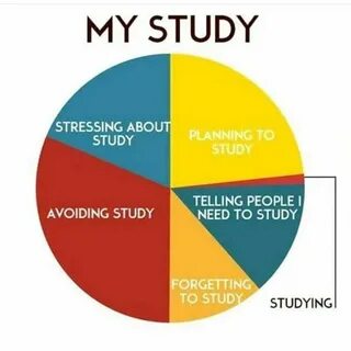 My study