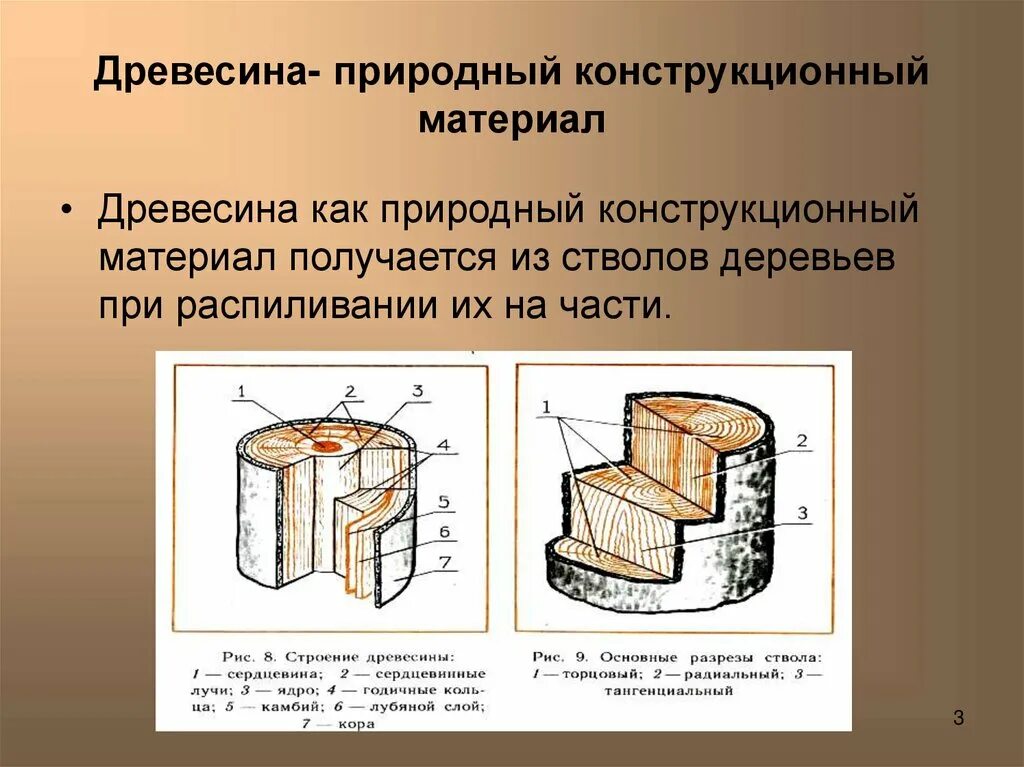 Древесина конструкционный материал. Конструкционные древесные материалы. Конструкционные материалы из древесины. Древесина как природный материал. Сообщение конструкционный материал