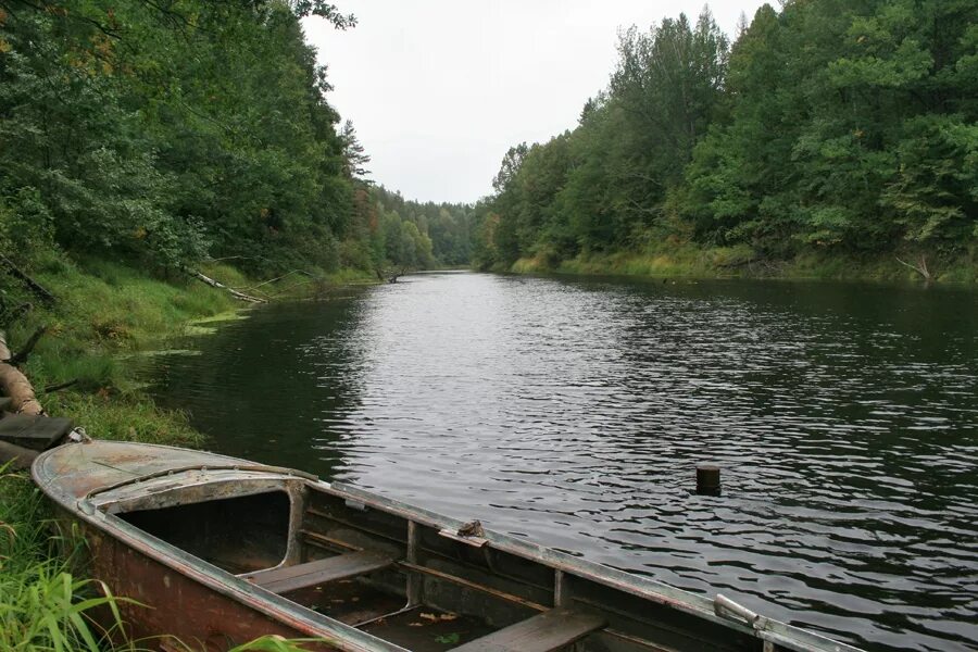 Плёс реки. Речной Плес реки. Деревня Мериново с реки Керженец. Плес участок реки.