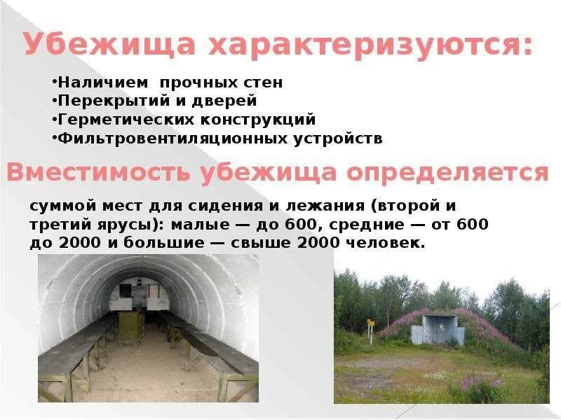 Можно ли получить убежище