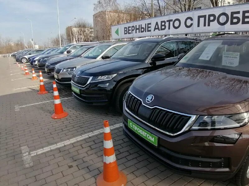 Аренда автомобиля минск. Машина верный. Машина верно. Верный автособили. Верный машины фото.