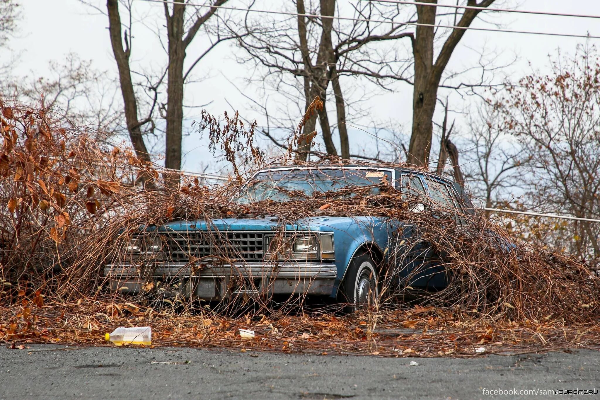 Брошенные машины. Заброшенные авто. Старые брошенные автомобили. Заброшенные американские автомобили.