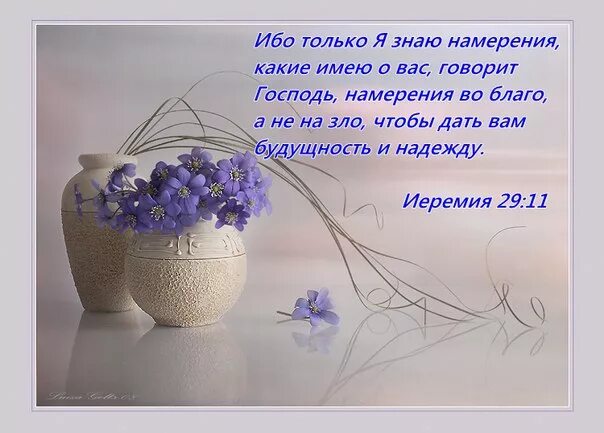Библейские стихи. Ибо я знаю намерения о вас говорит господь. Ибо только я знаю намерения о вас. Стихи из библии. Иеремия 29 11.