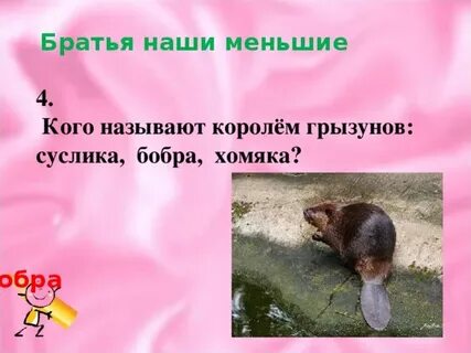 План братишка