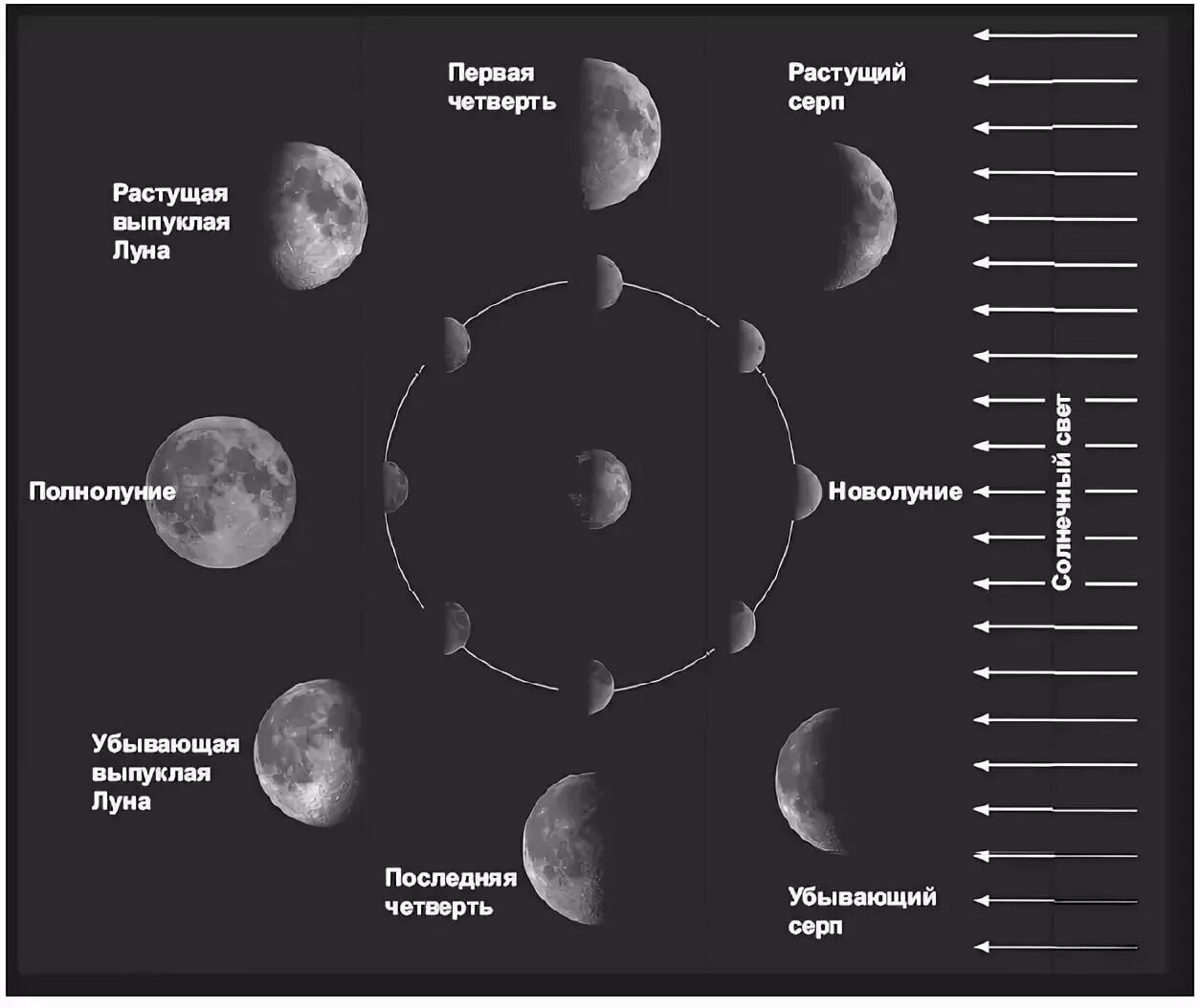 Новолуние и полнолуние. Рис.2.12. Схема лунных фаз. Фазы Луны схема. Наблюдение фаз Луны. Фазы Луны фото.