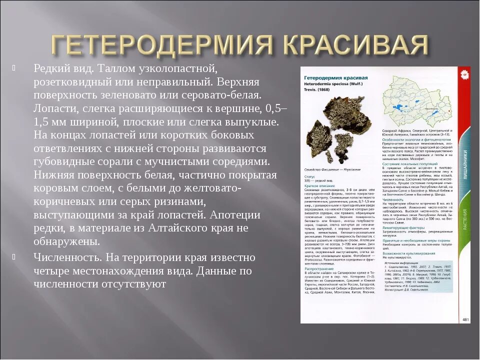 Животные из красной книги. Исчезнувшие животные в алтайском крае. Исчезнувшие животные в алтайском крае. Исчезнувшие животные в алтайском крае. Исчезнувшие животные в алтайском крае.