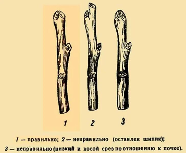 Формирование среза