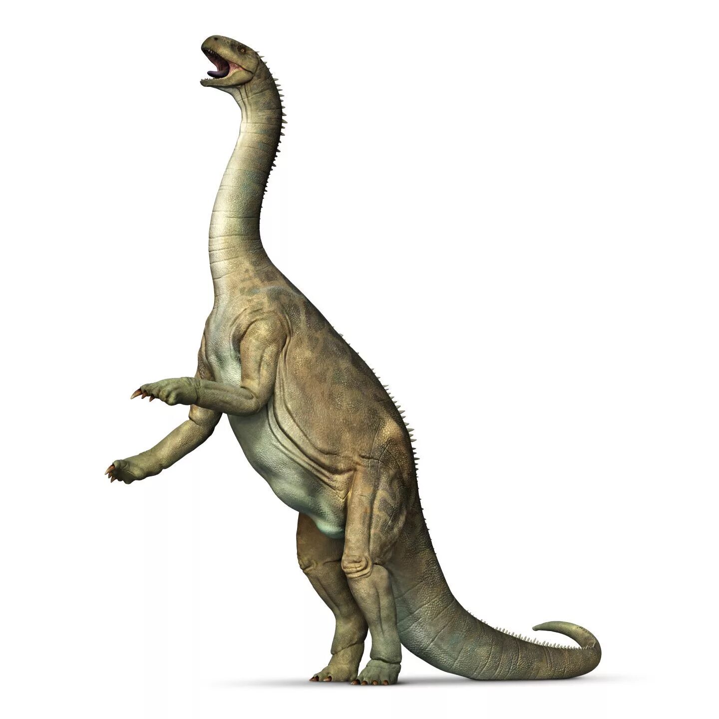Длинношеий динозавр. Isanosaurus attavipachi. Брахиозавр papo. Диплодок динозавр. Брахиозавр и Аллозавр.