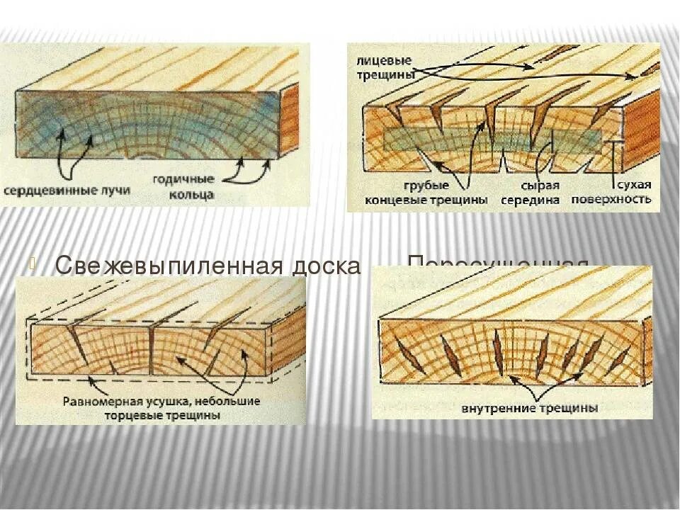 Трещины древесины. Правильная сушка древесины. Правильная сушка досок. Естественная усушка древесины.