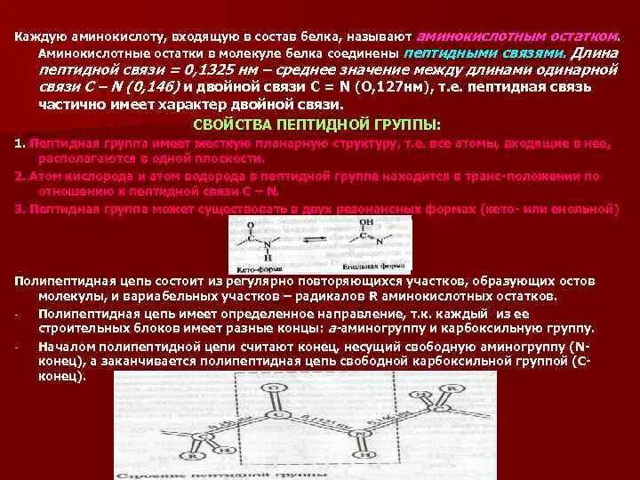 Каждой аминокислоте в молекуле белка соответствует. Аминокислотный остаток. длина аминокислотного остатка. в молекуле белка аминокислотные остатки не повторяются. плотность упаковки аминокислотных остатков в молекулах белка.