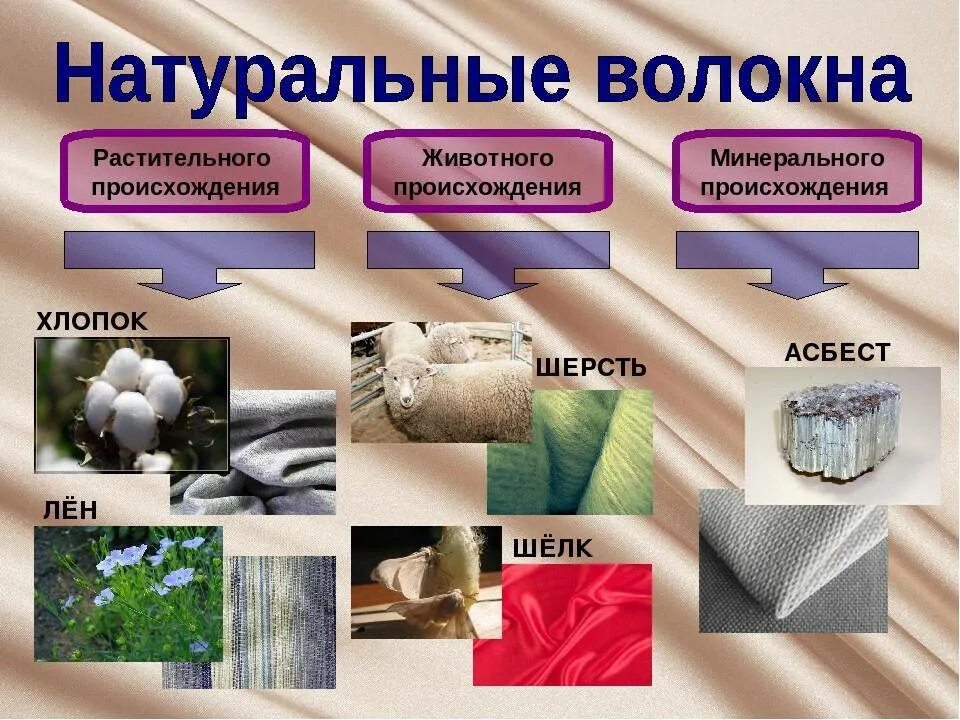 Материал взятый за основу