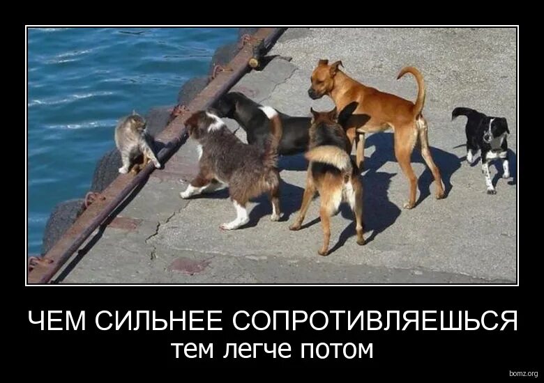 не знала что мы будем врагами. демотиваторы про власть. друг мой враг мой картинки. такова судьба.