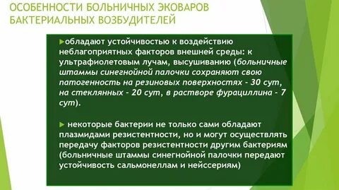 Госпитальный штамм возбудитель