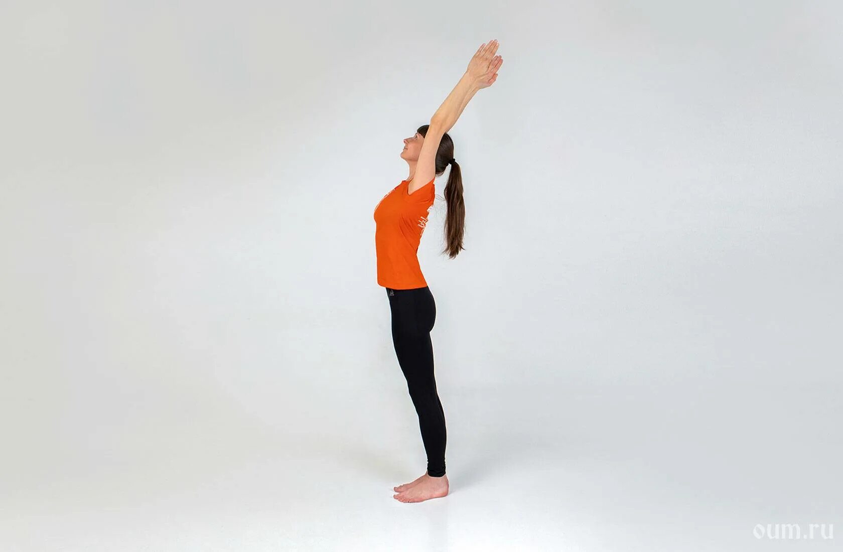 Мостик стоя для начинающих. Вирабхадрасана 2 мышцы задействованные в асане. Вирабхадрасана iii. Техника выполнения мостика из положения стоя. Вирабхадрасана iii.