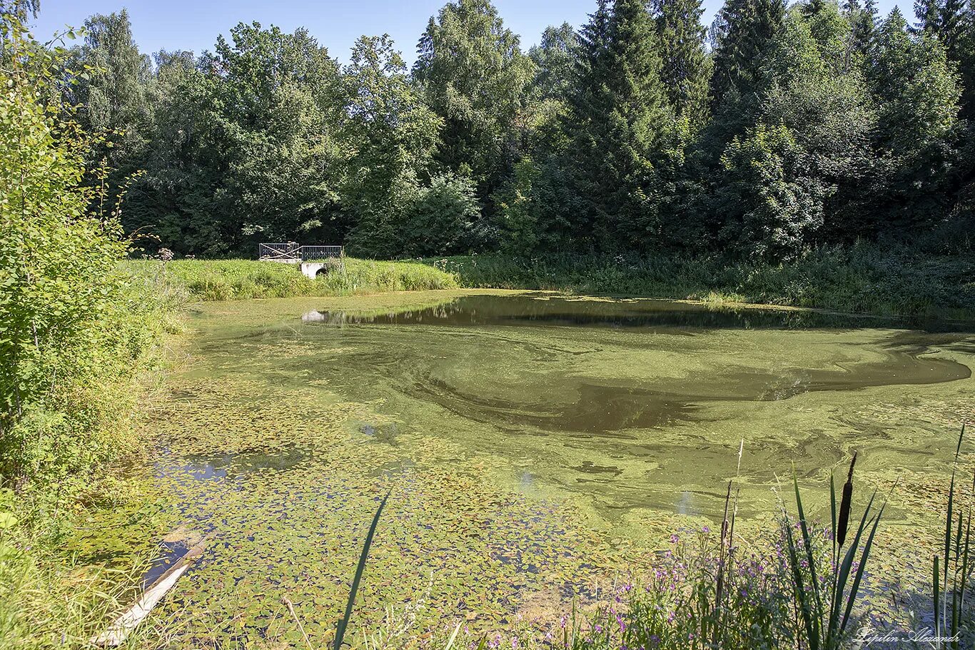 деревня порожек гатчинского района. карта деревня покровское. покровский район карта. карта деревня покровское. старая карта местности.