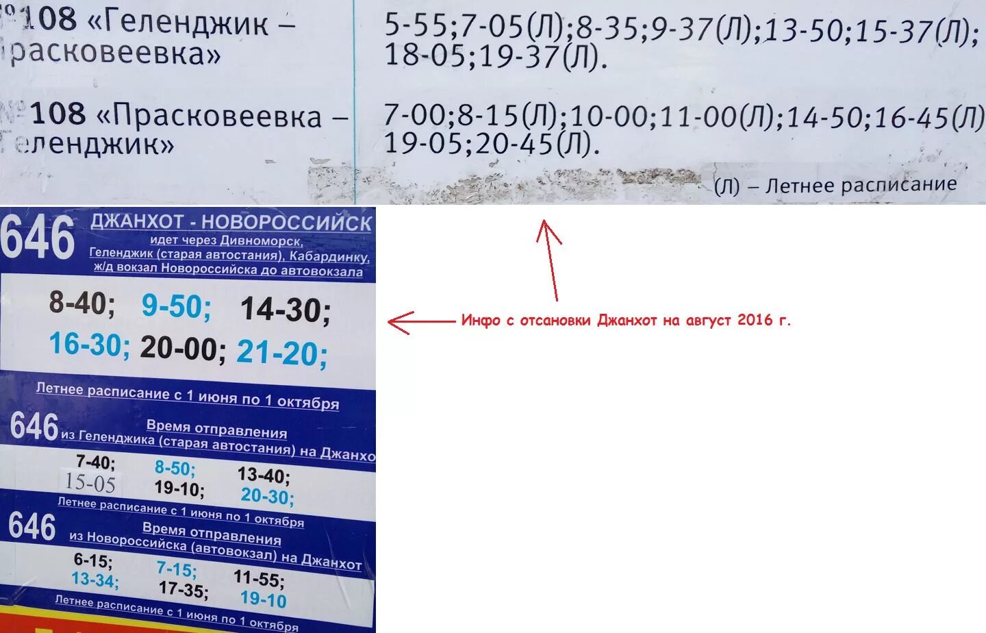 Расписание автобусов краснодар архипо осиповка. Джанхот Новороссийск автобус. Автобус 646 Джанхот Новороссийск.