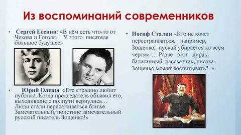 В чем заключается общественная роль писателя
