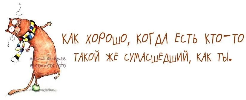 Моя маленькая. Я люблю ее. Милая родная. Прикольные фразы про сумасшедших. Красивые умные и веселые женщины.